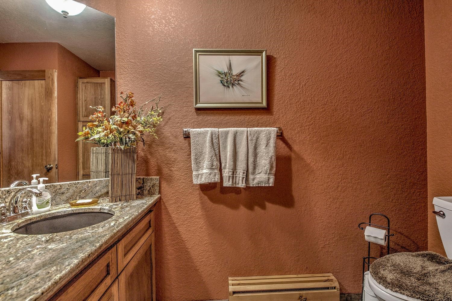 151 Emmett Lode Road Breckenridge CO 80424