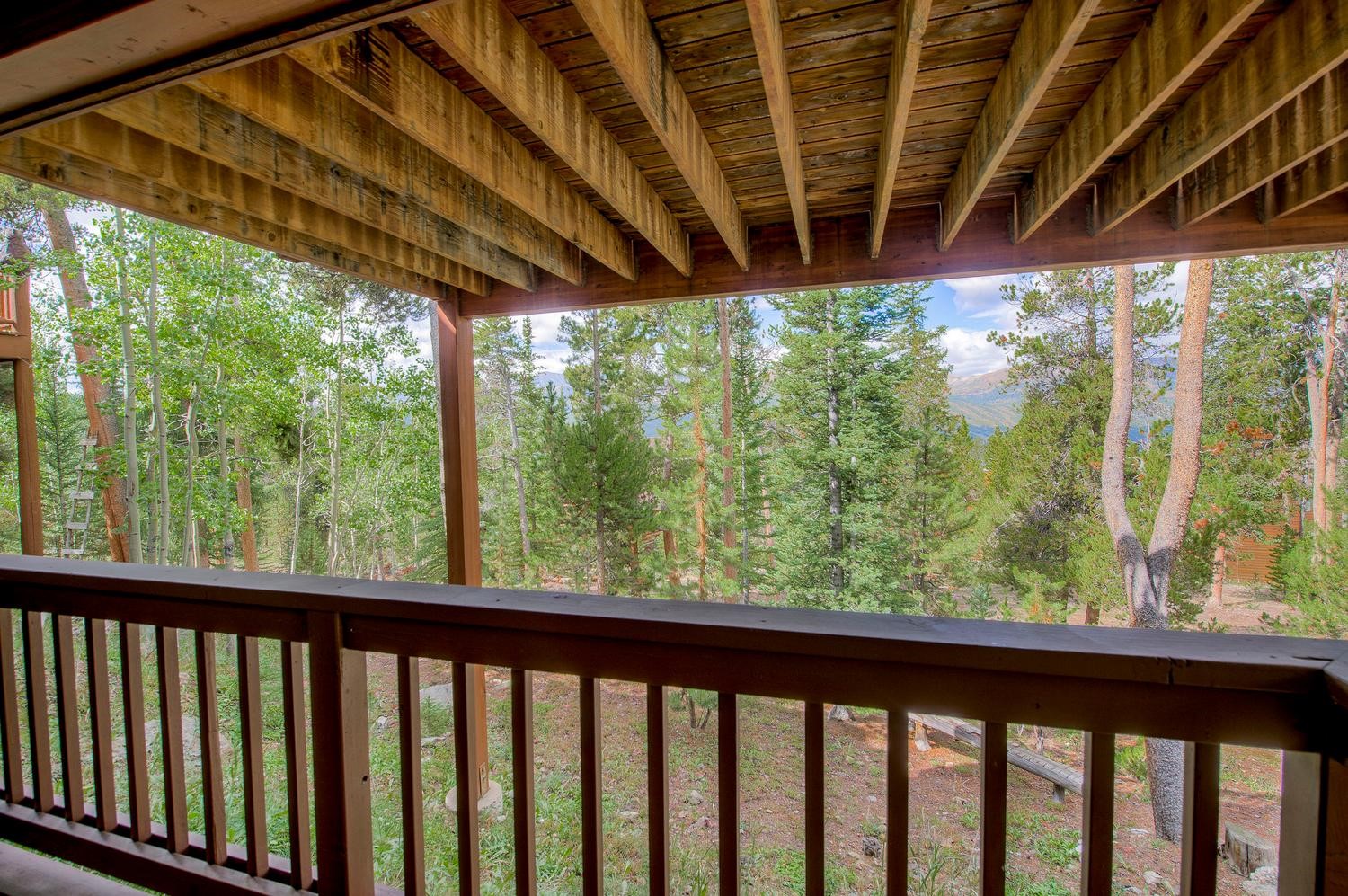 151 Emmett Lode Road Breckenridge CO 80424