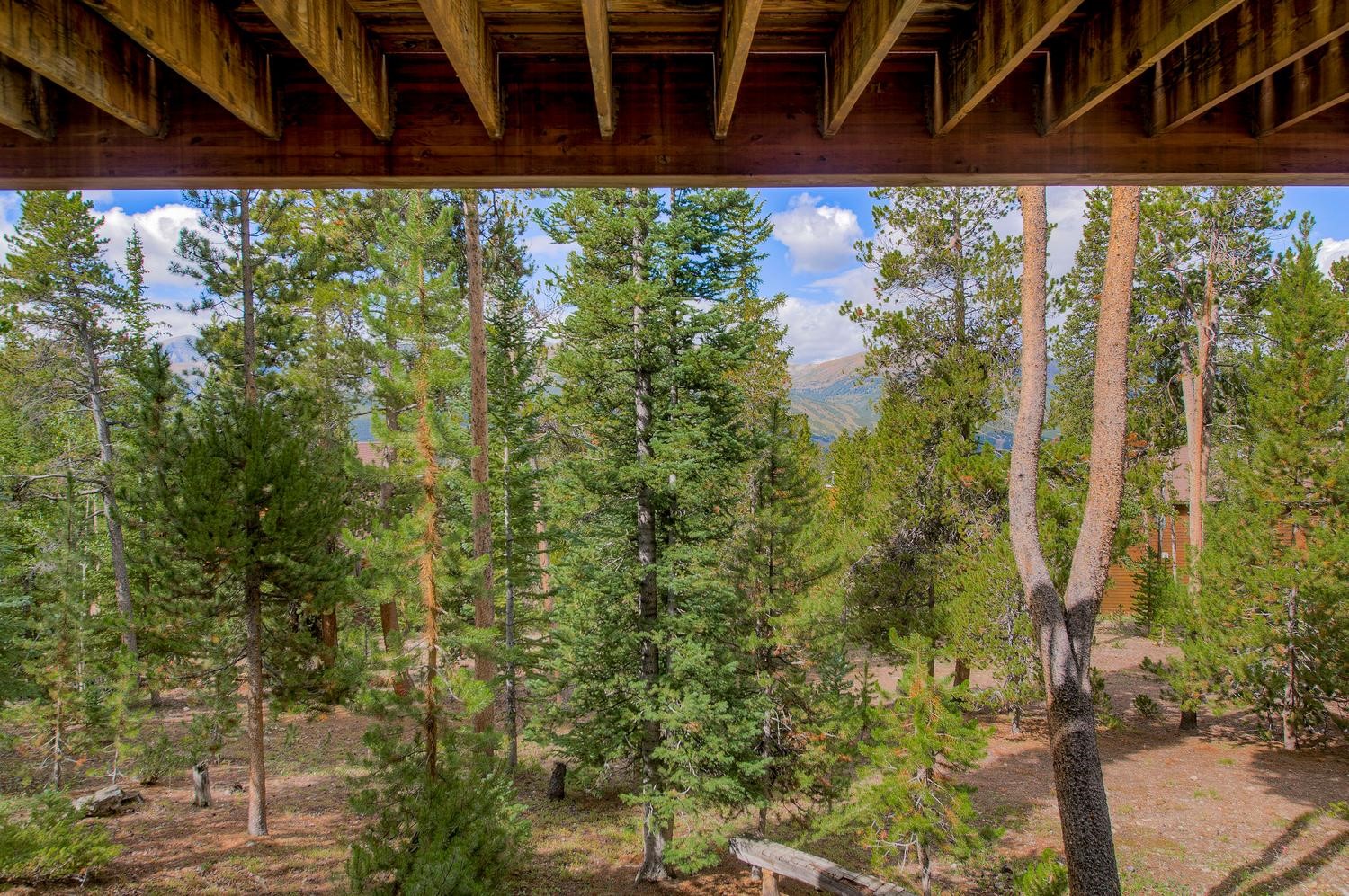 151 Emmett Lode Road Breckenridge CO 80424