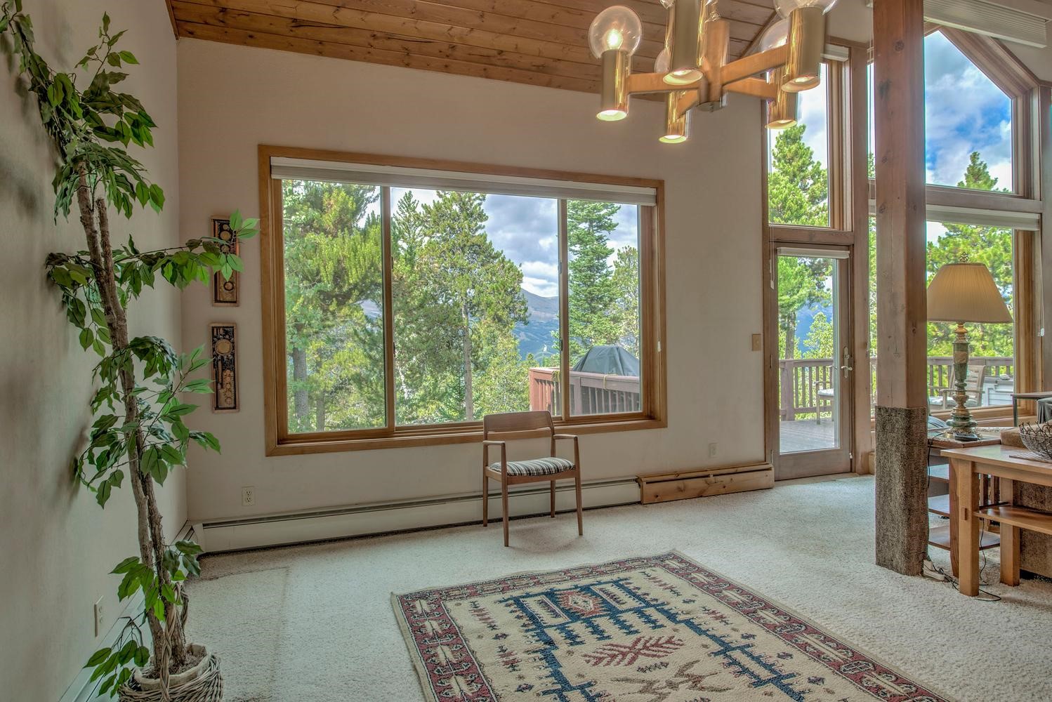 151 Emmett Lode Road Breckenridge CO 80424