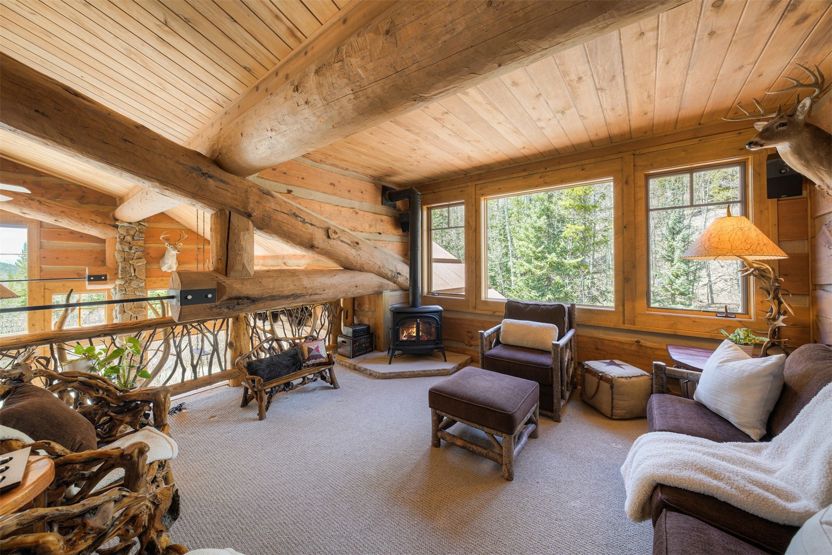 250 Buckeye Creek Road Leadville CO 80461