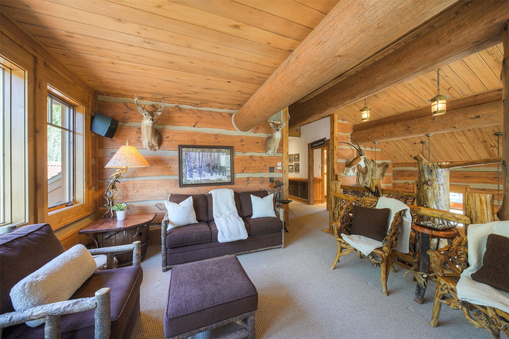 250 Buckeye Creek Road Leadville CO 80461