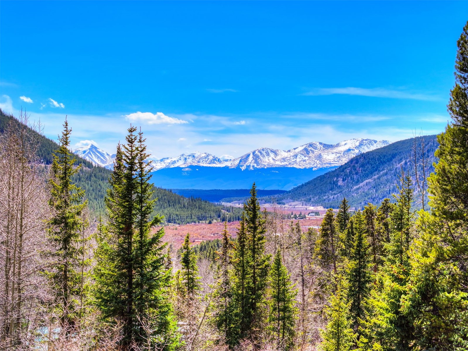 250 Buckeye Creek Road Leadville CO 80461