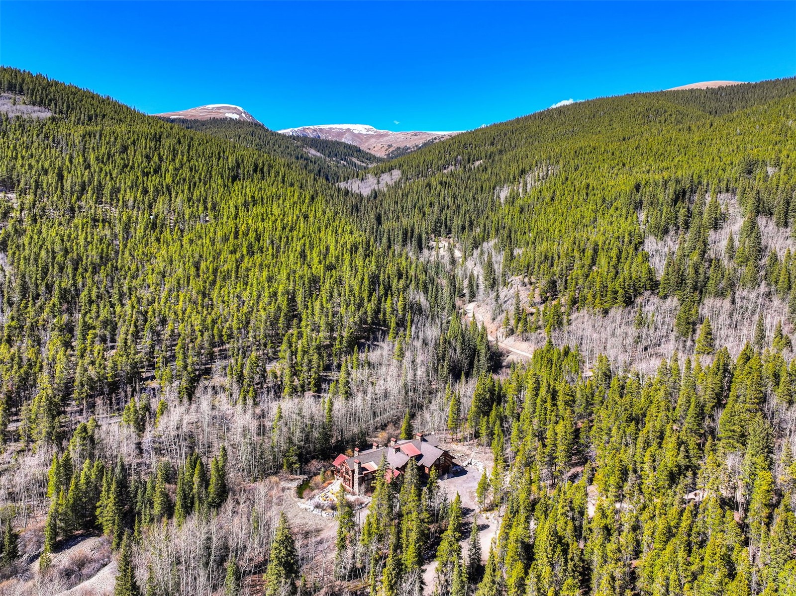 250 Buckeye Creek Road Leadville CO 80461