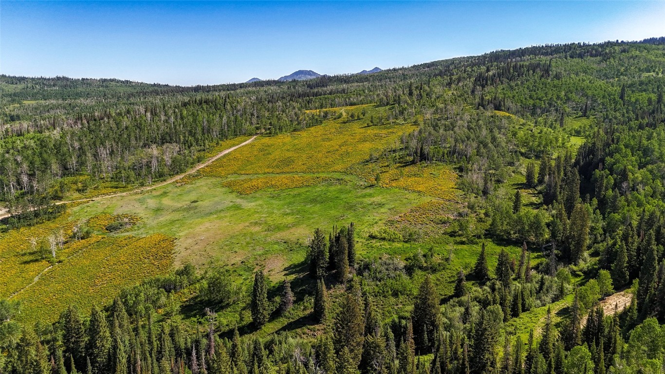 51735 County Road 80 Hayden CO 81639