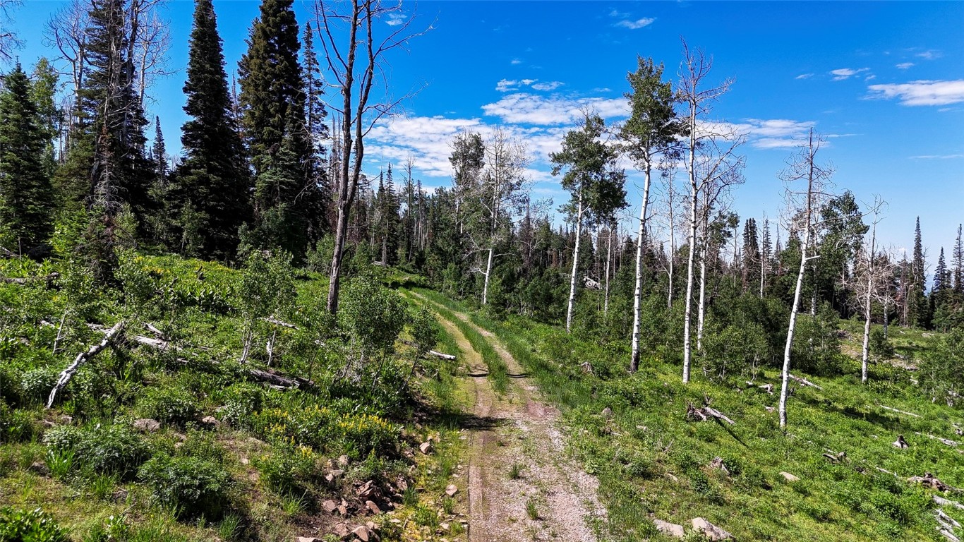 51735 County Road 80 Hayden CO 81639