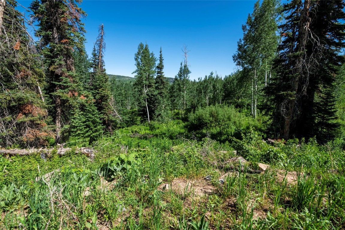 51735 County Road 80 Hayden CO 81639