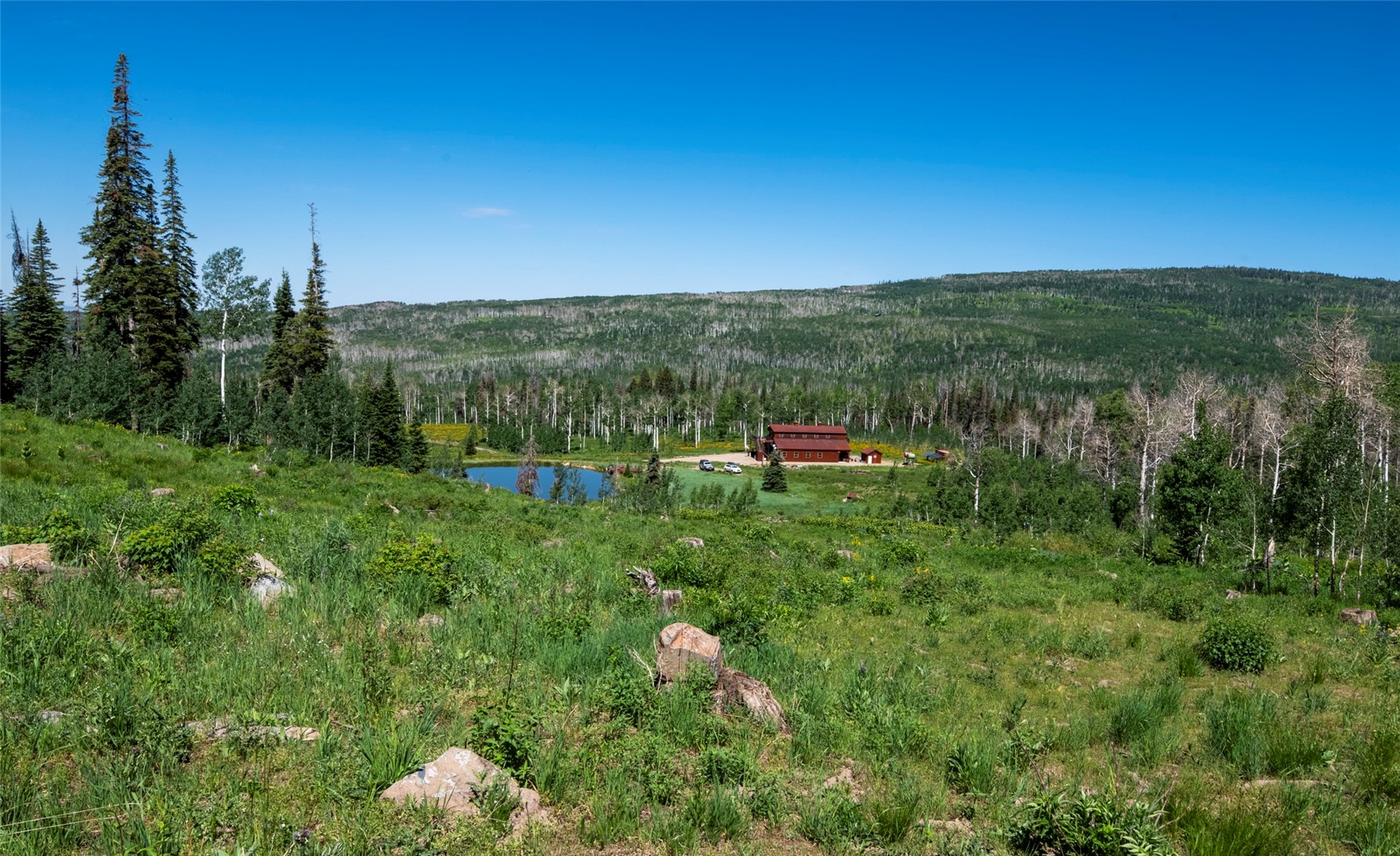 51735 County Road 80 Hayden CO 81639
