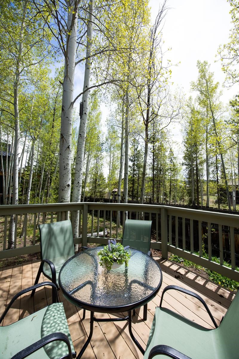 18 Hawn Drive Frisco CO 80443