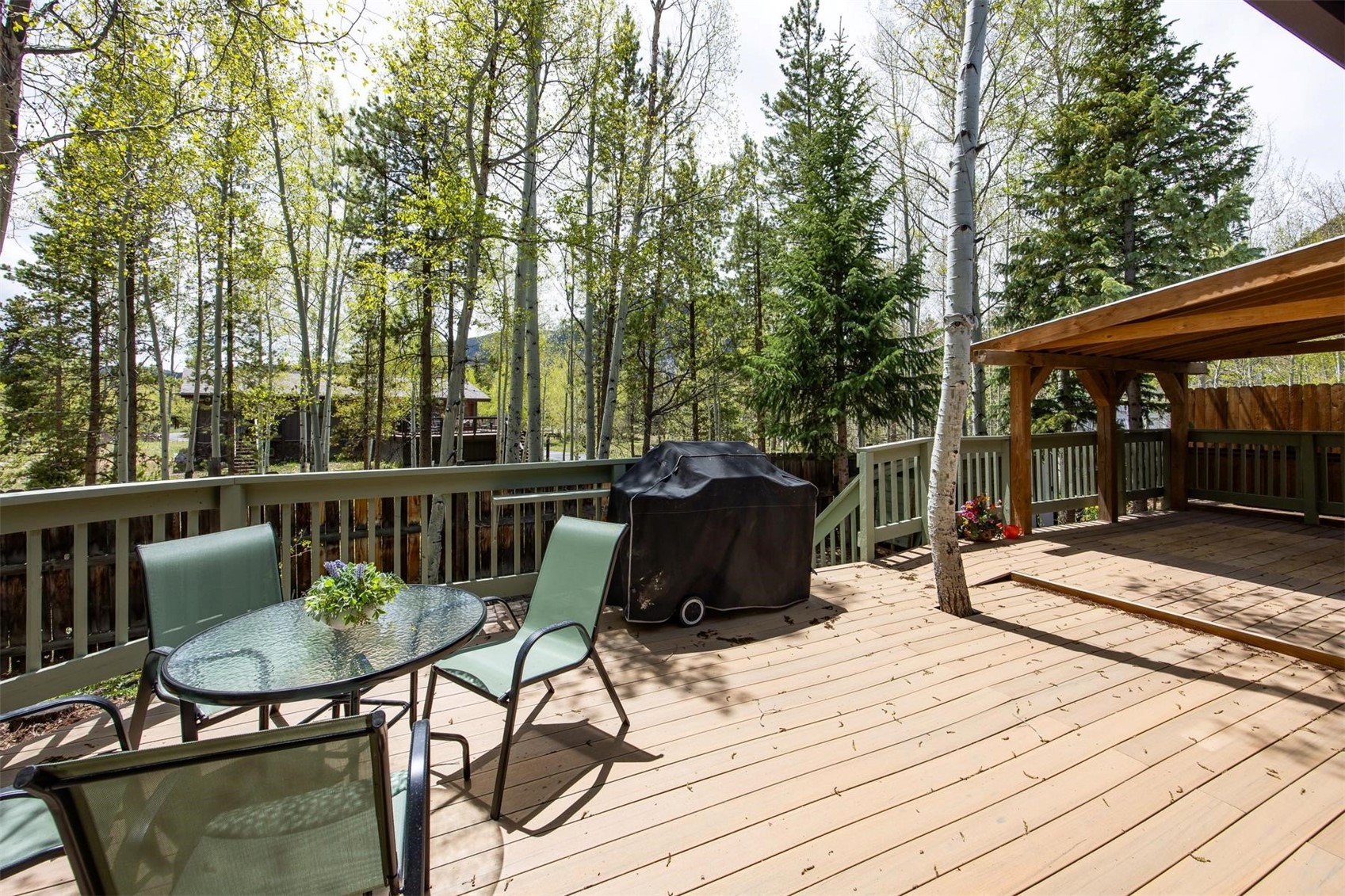 18 Hawn Drive Frisco CO 80443