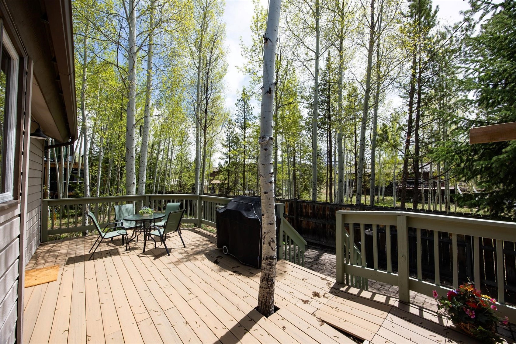18 Hawn Drive Frisco CO 80443