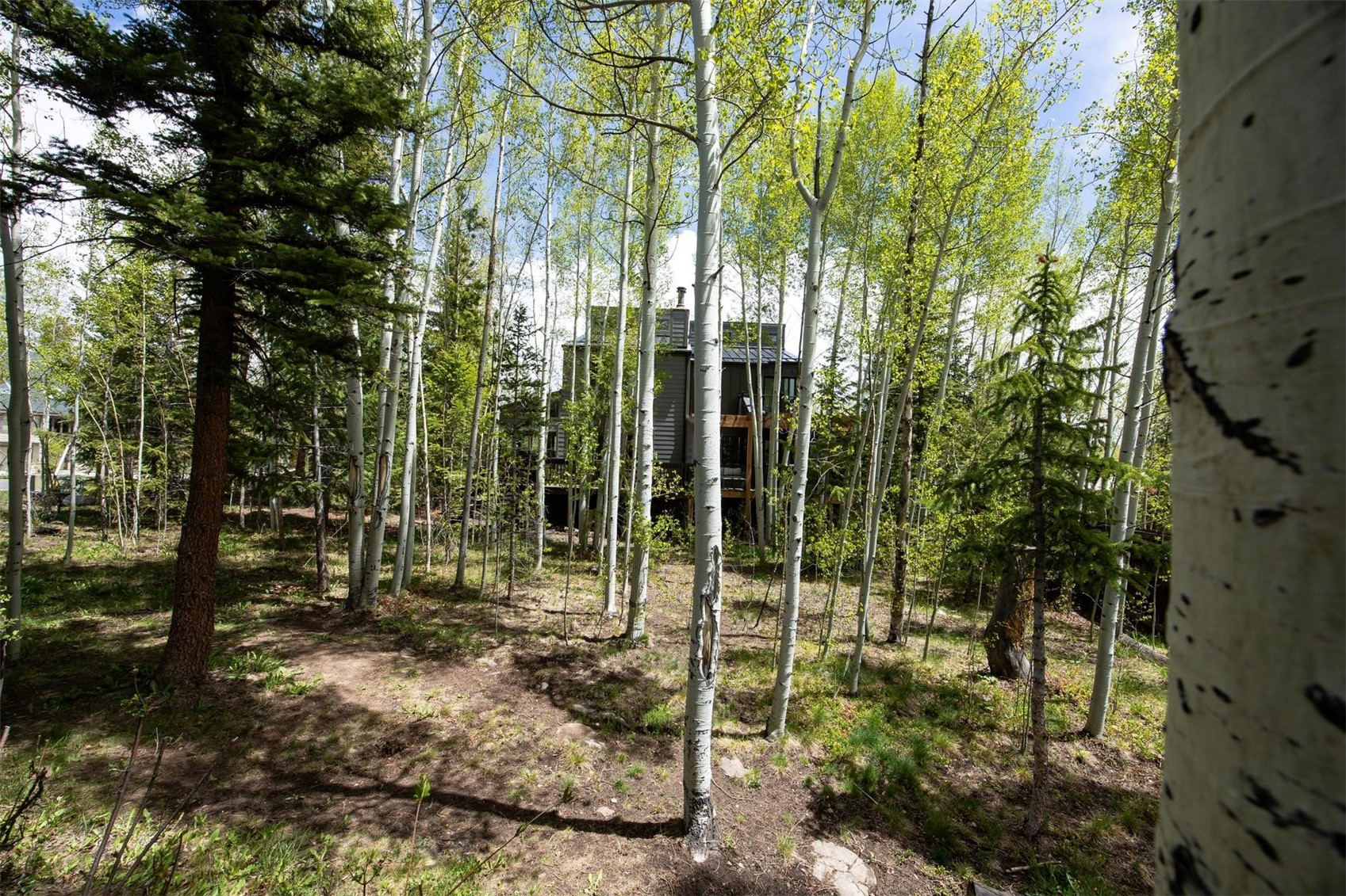 18 Hawn Drive Frisco CO 80443