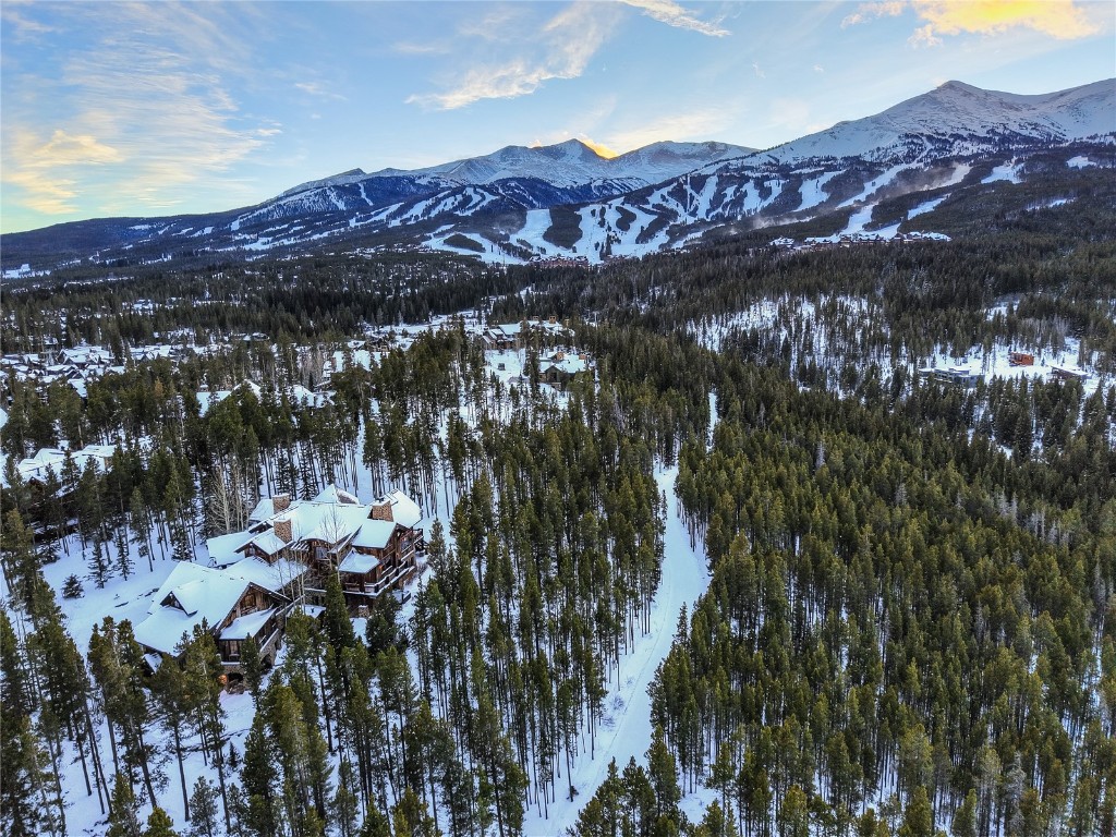 456 Peerless Drive Breckenridge CO 80424