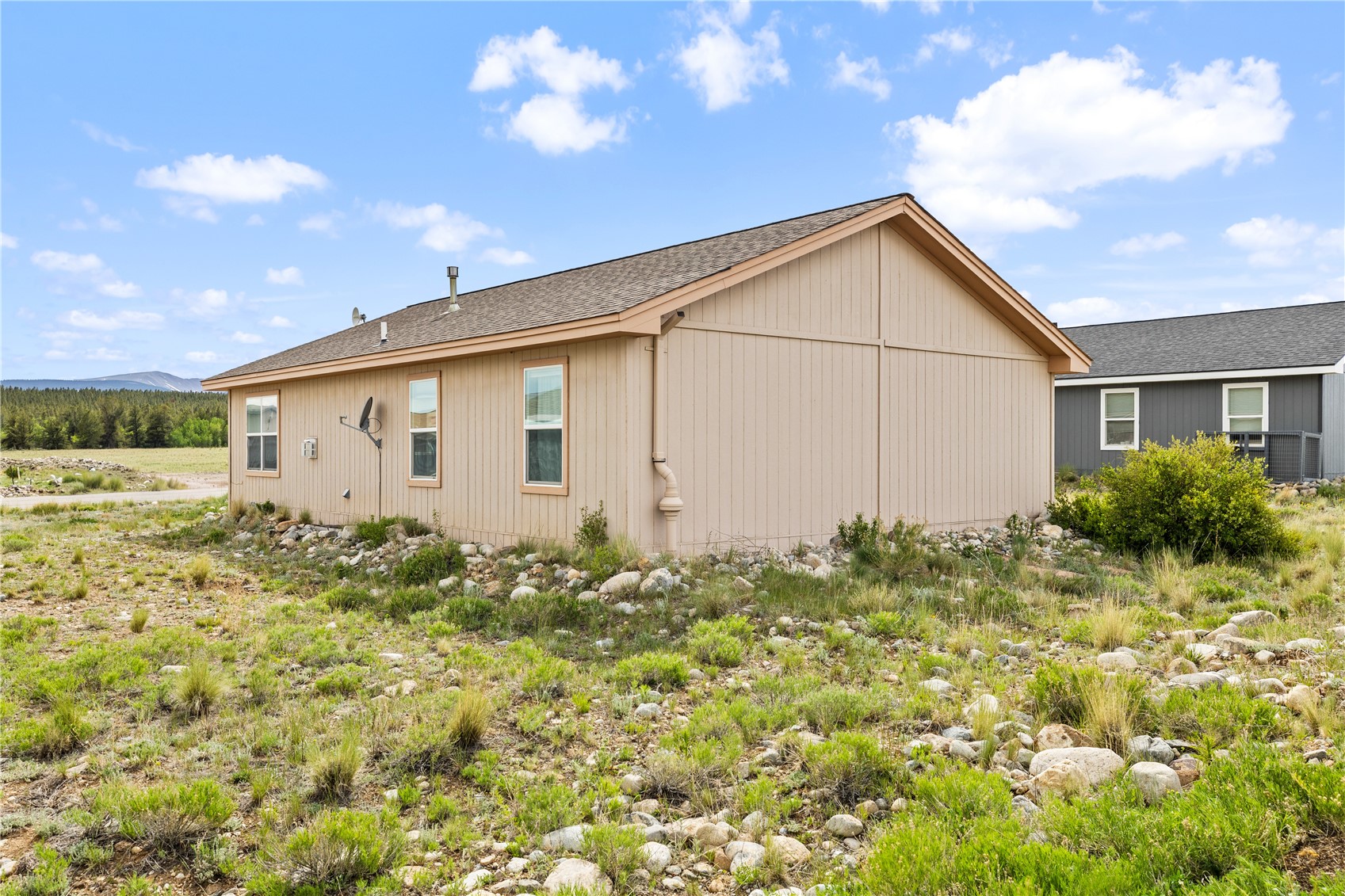 738 Trout Creek Drive Fairplay CO 80440