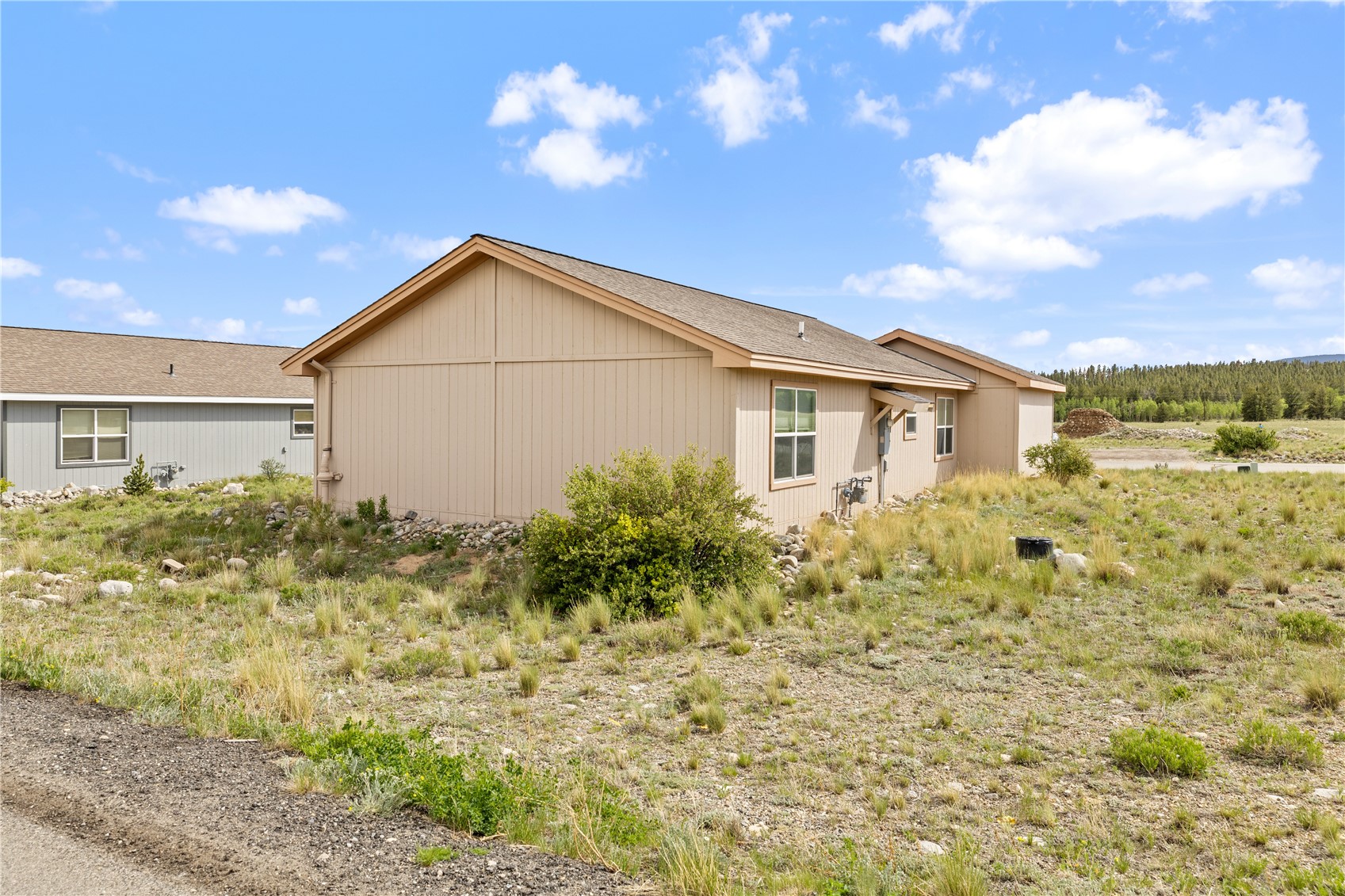 738 Trout Creek Drive Fairplay CO 80440