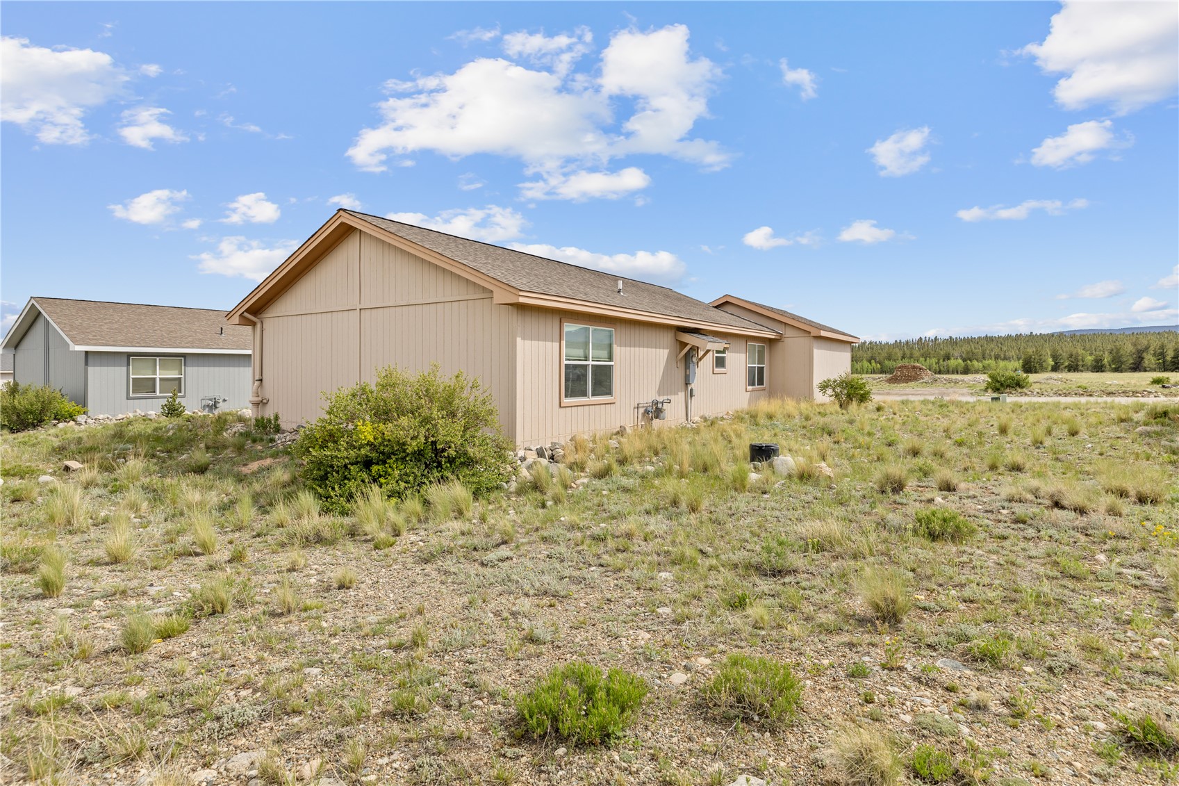 738 Trout Creek Drive Fairplay CO 80440