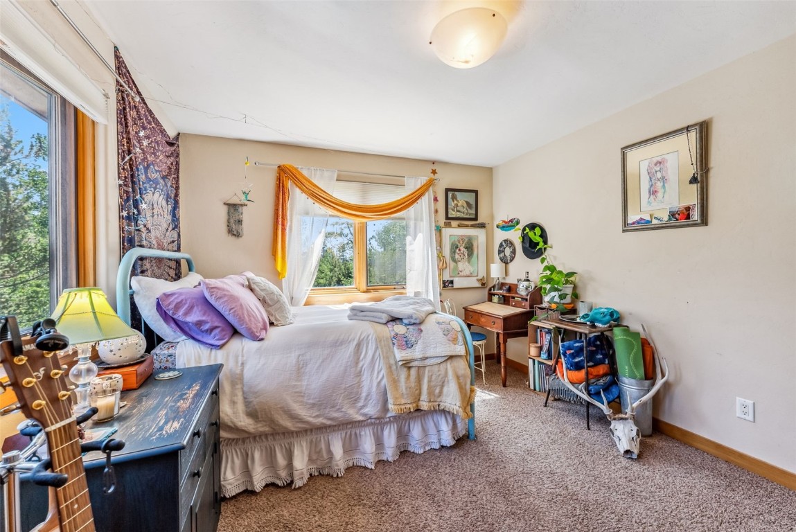 228 Glacier Ridge Road Alma CO 80420