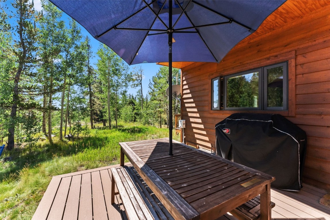 228 Glacier Ridge Road Alma CO 80420