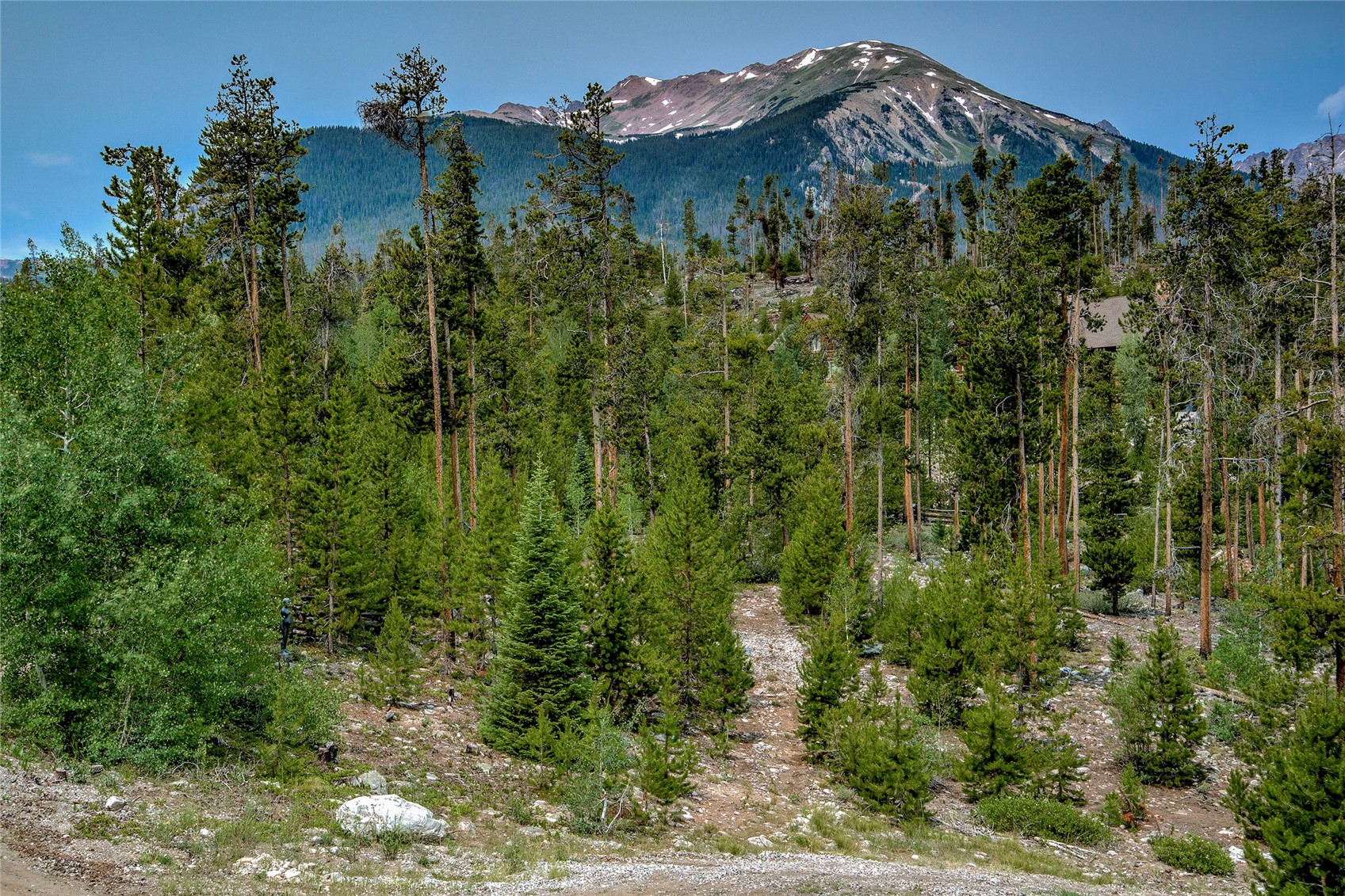 1139 Emerald Road Silverthorne CO 80498
