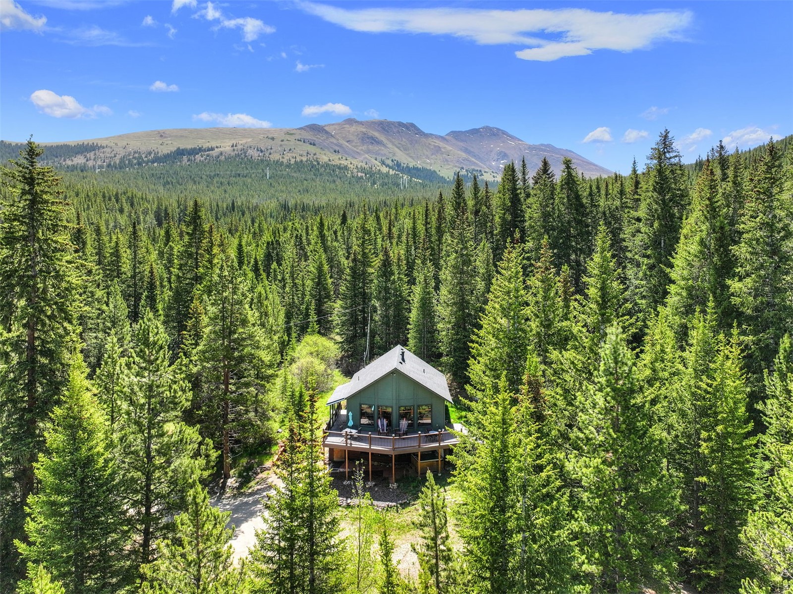 506 Cnty Road 528 Breckenridge CO 80424