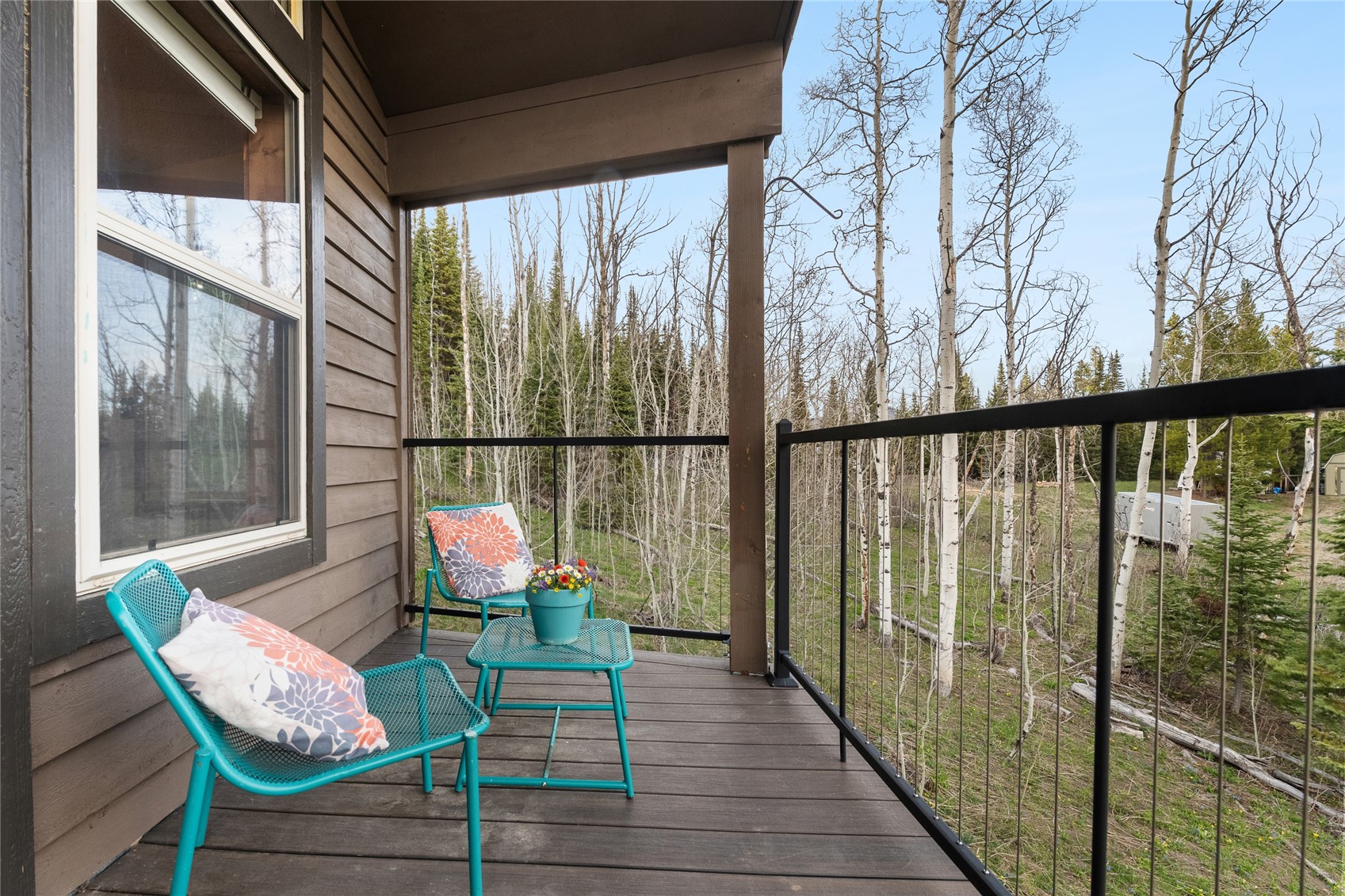58195 Jupiter Place Clark CO 80428