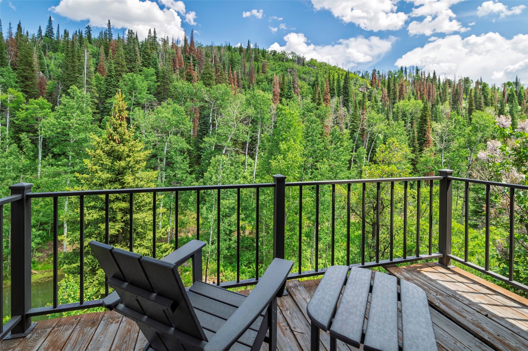 32375 County Road 38 Steamboat Springs CO 80487