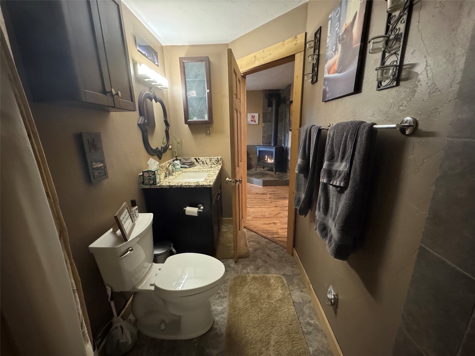 219 Ansley Avenue Alma CO 80440