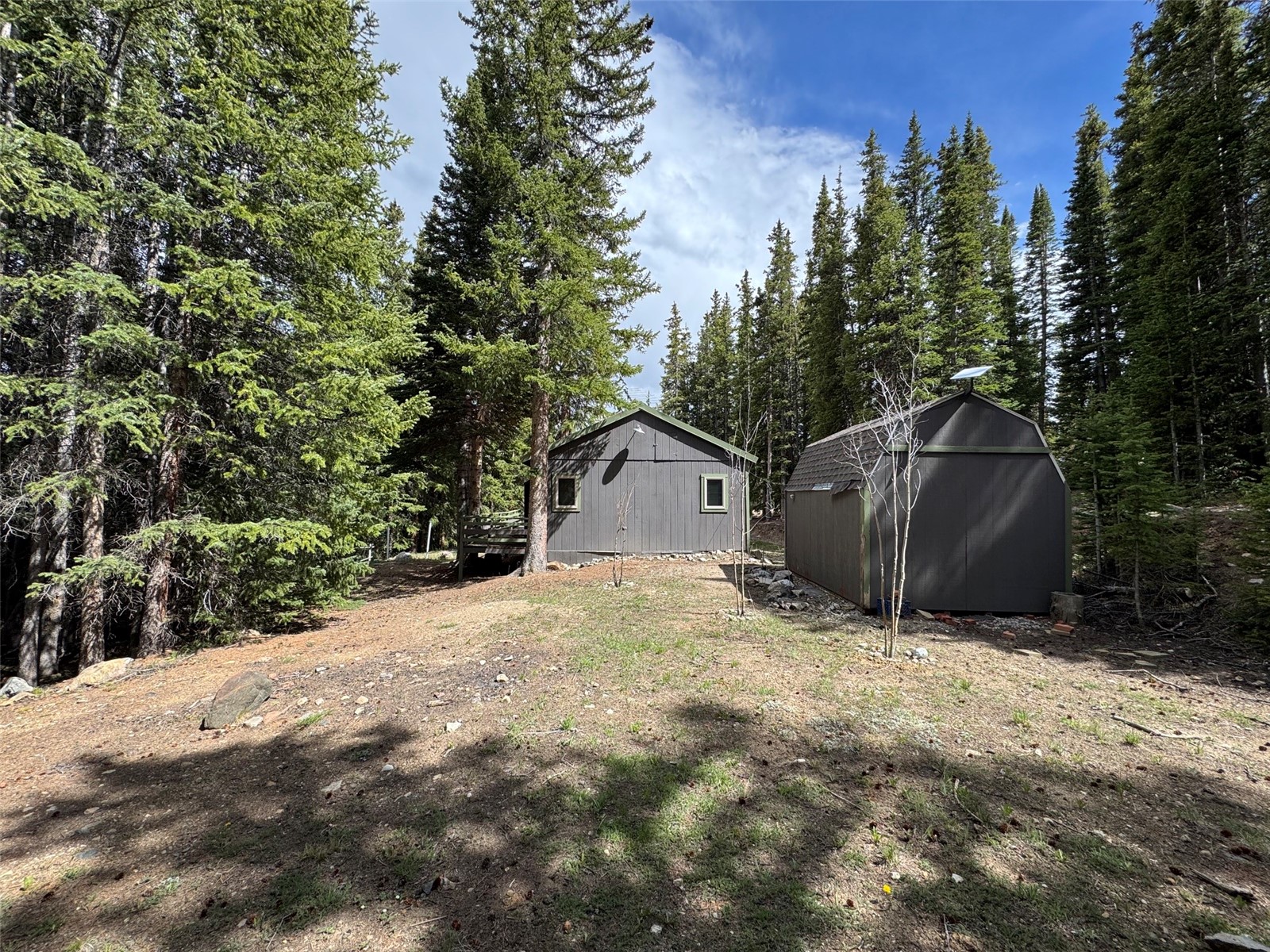 219 Ansley Avenue Alma CO 80440