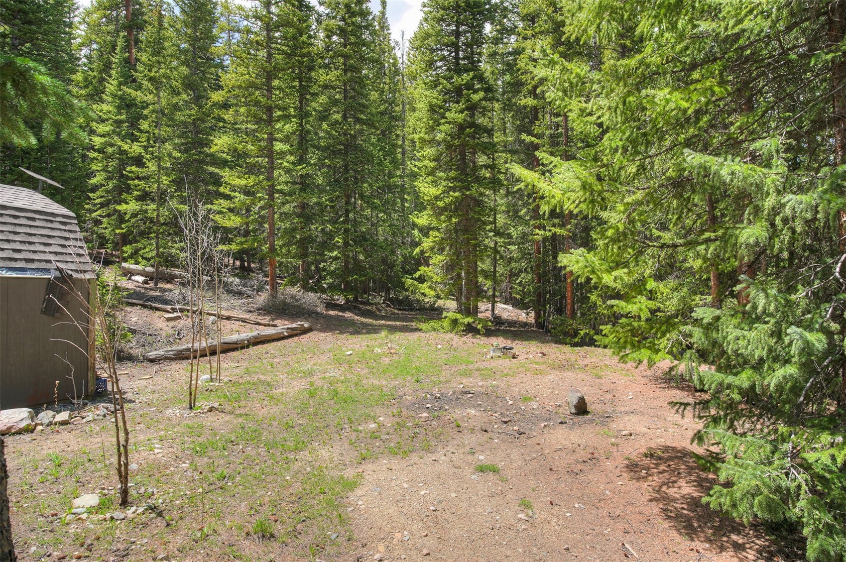 219 Ansley Avenue Alma CO 80420