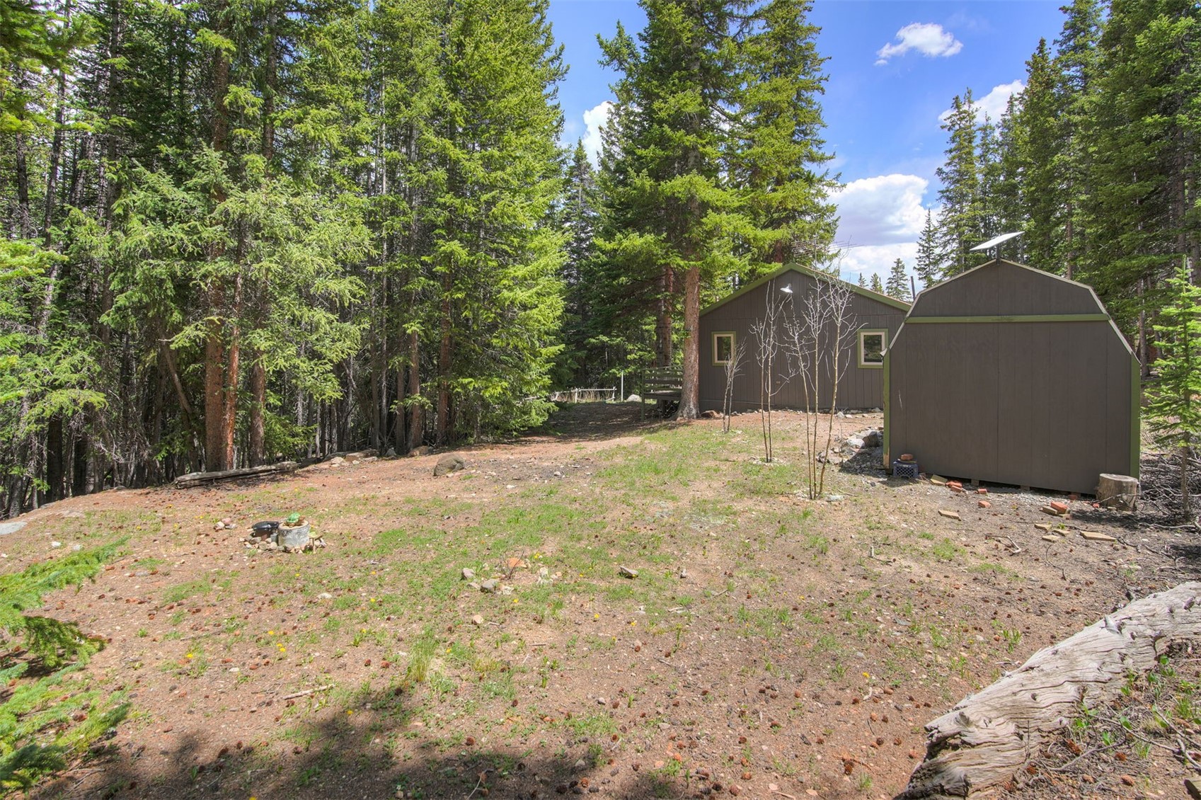 219 Ansley Avenue Alma CO 80420