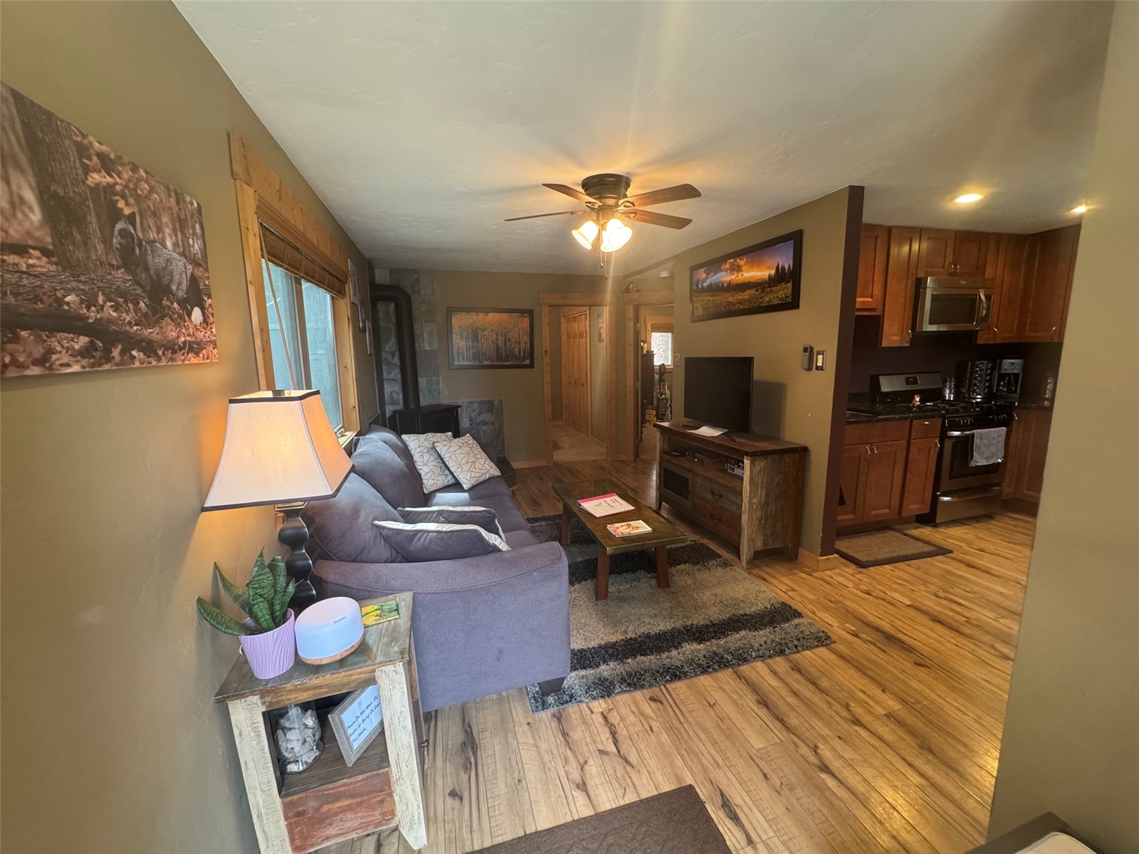 219 Ansley Avenue Alma CO 80440
