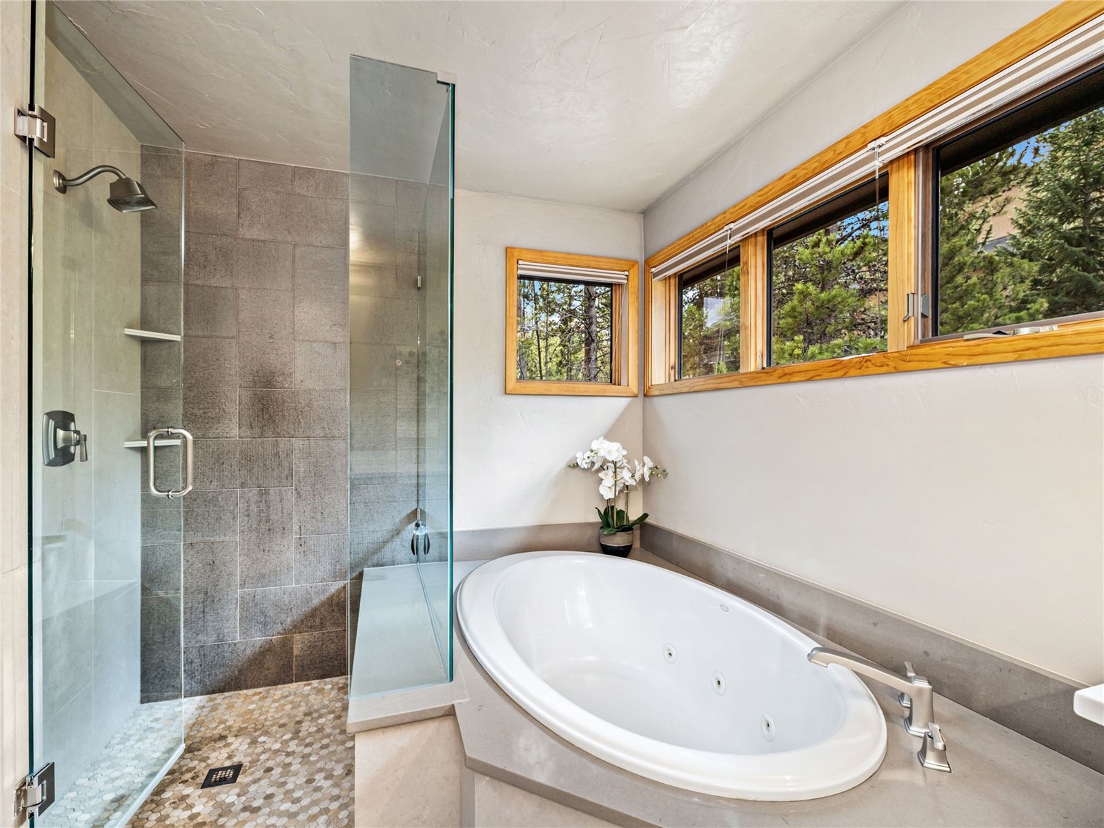 1793 Falcon Drive Silverthorne CO 80498