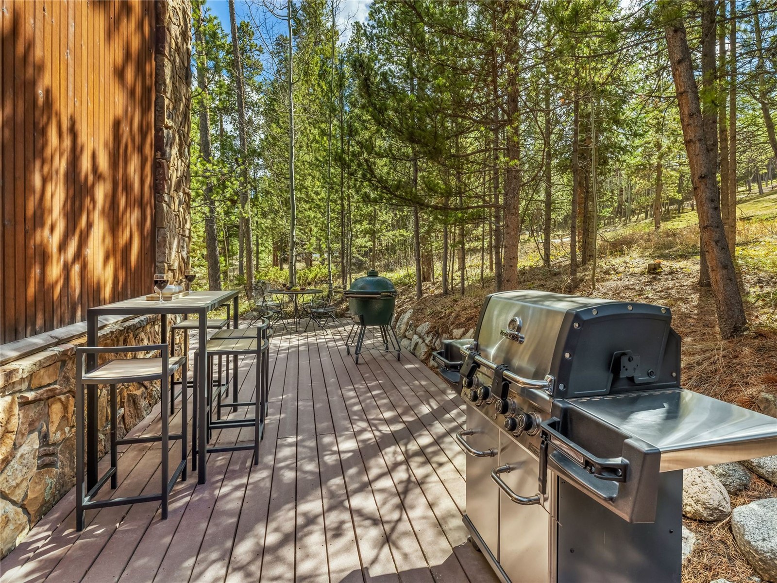1793 Falcon Drive Silverthorne CO 80498