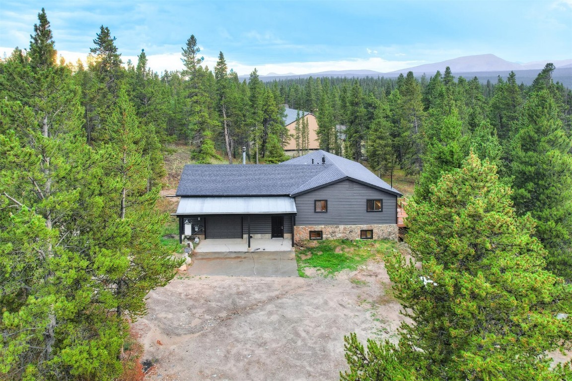 93 Prospect Drive Alma CO 80420