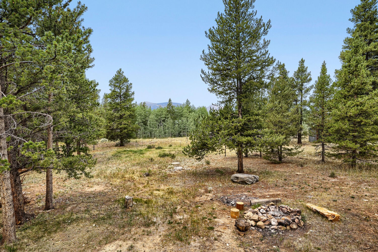 93 Prospect Drive Alma CO 80420