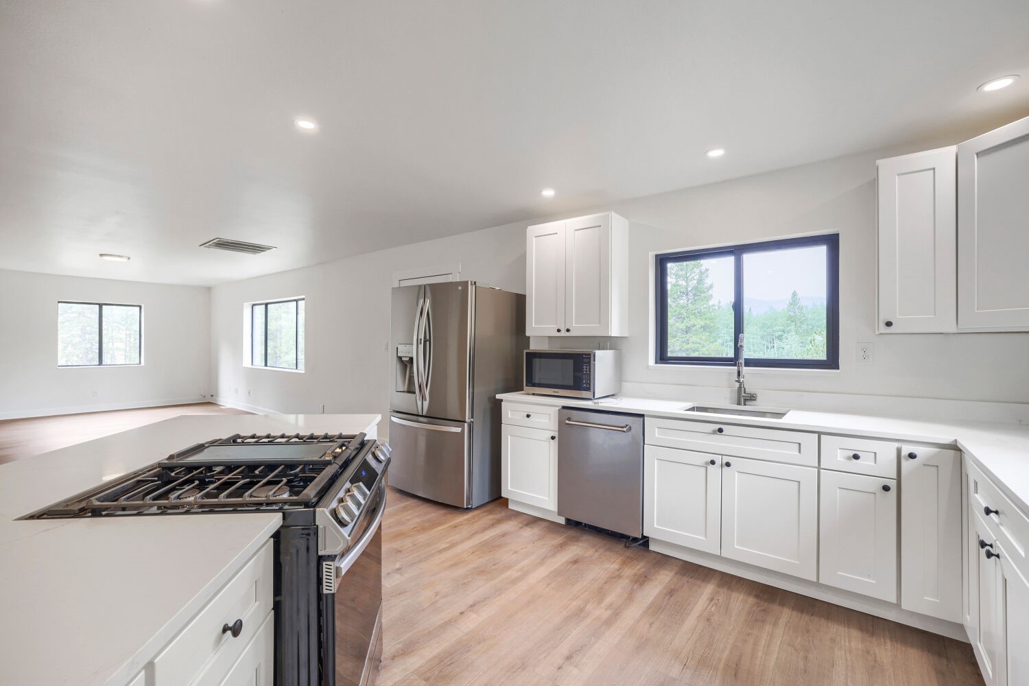 93 Prospect Drive Alma CO 80420