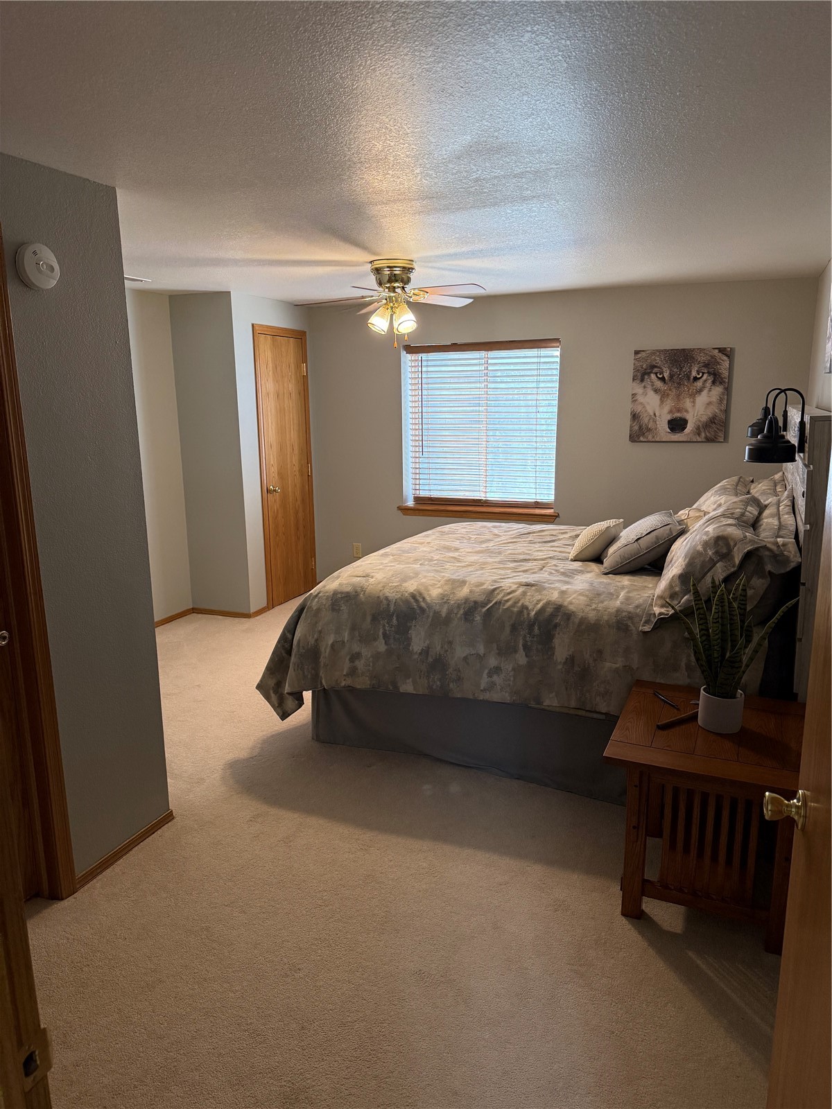 1246 Taylor Street Craig CO 81625