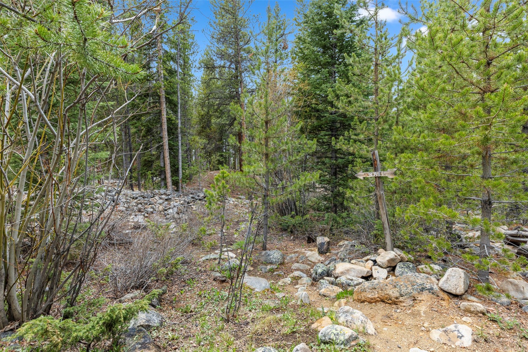 96 Moonstone Road Breckenridge CO 80424