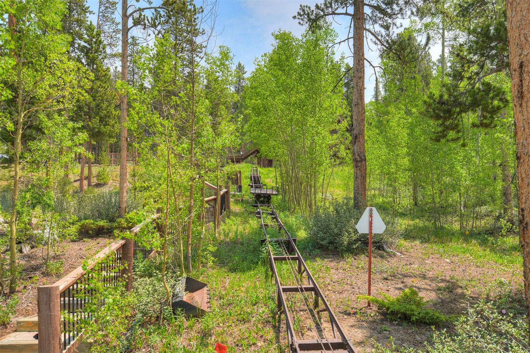 99 Bearing Tree Road Breckenridge CO 80424