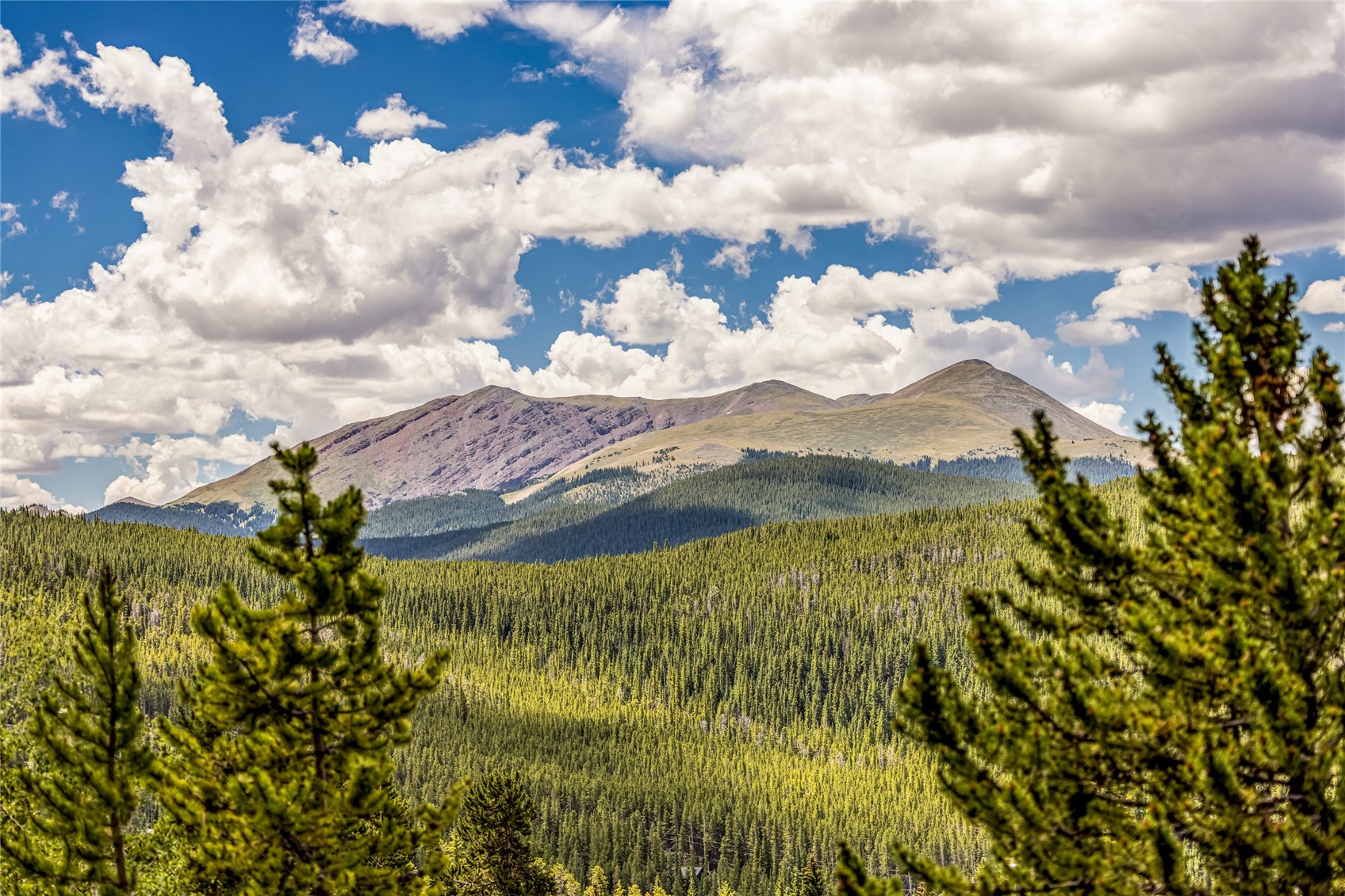 111 Emmett Lode Road Breckenridge CO 80424