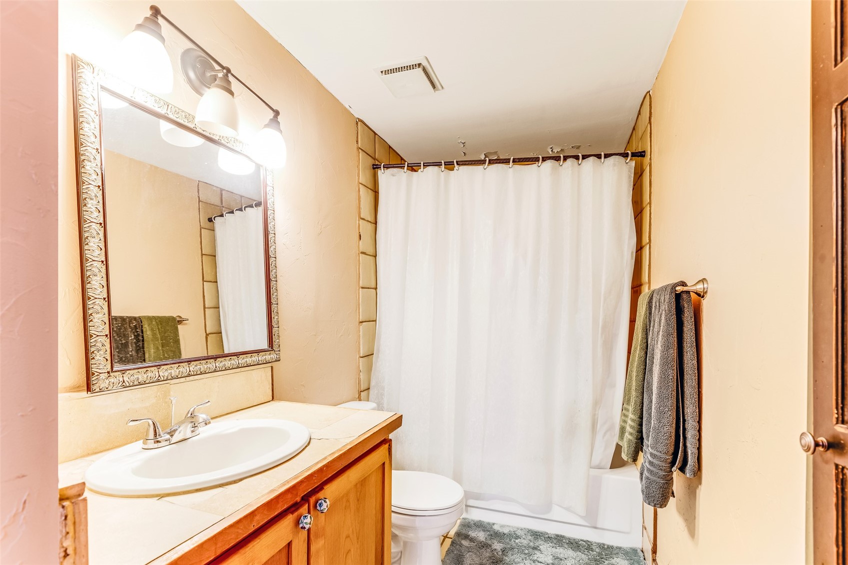 29 S Oak Street Alma CO 80420