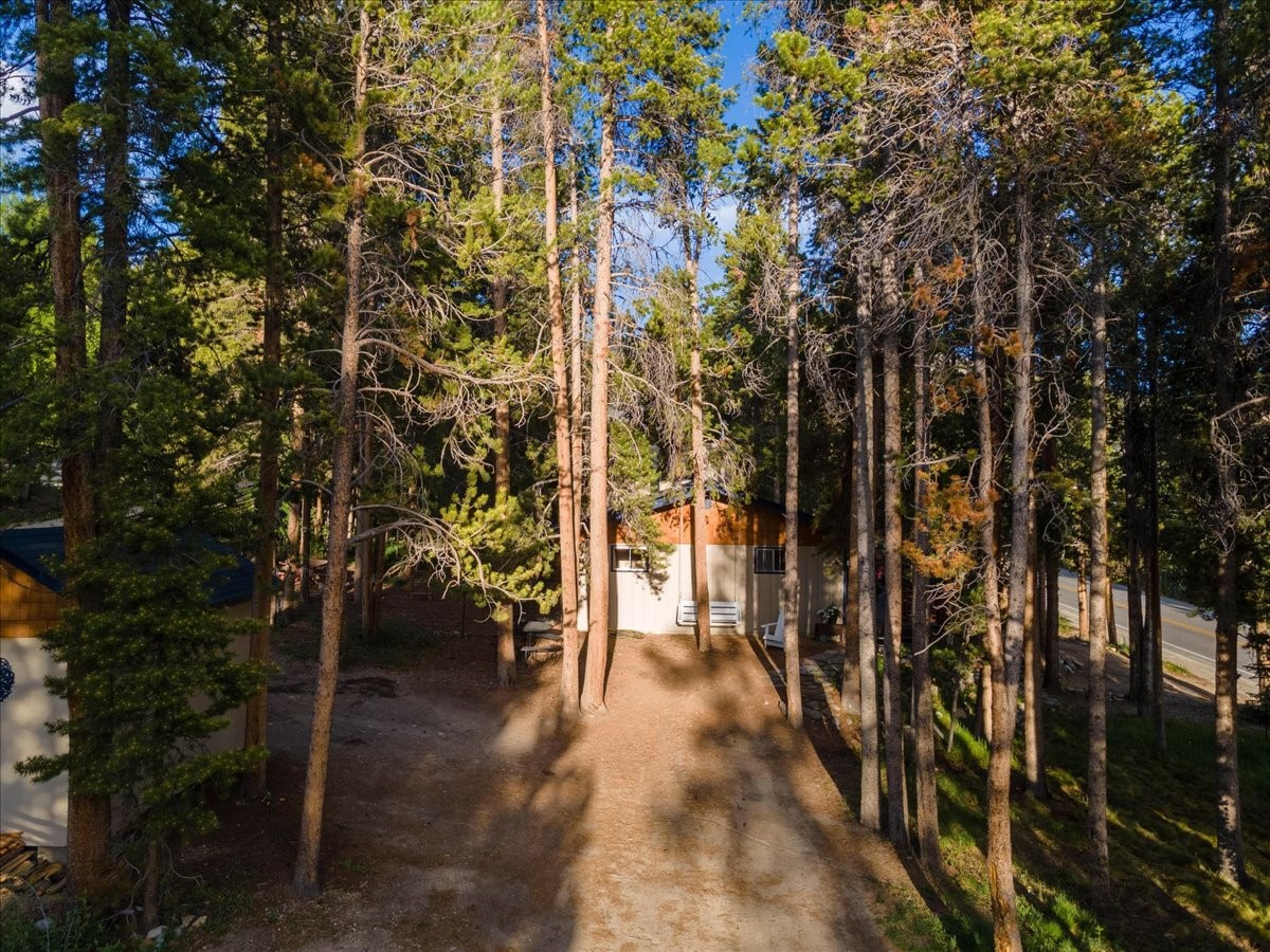 1981 Boreas Pass Road Breckenridge CO 80424