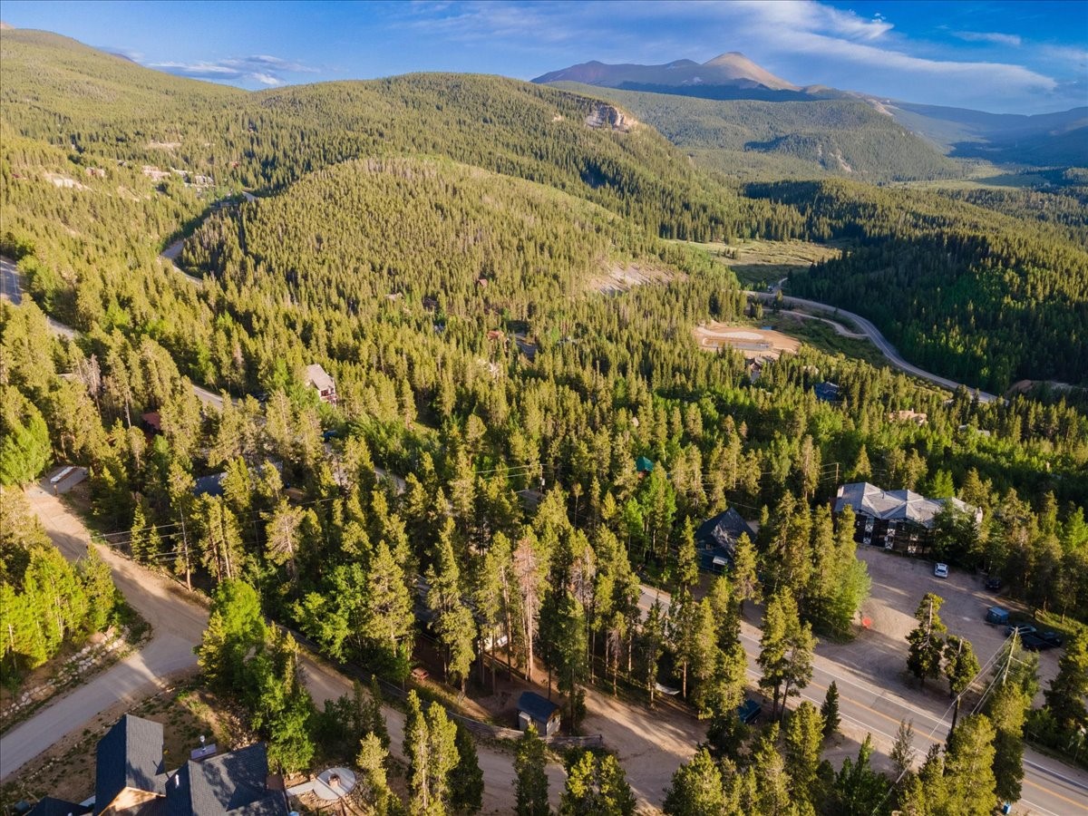 1981 Boreas Pass Road Breckenridge CO 80424