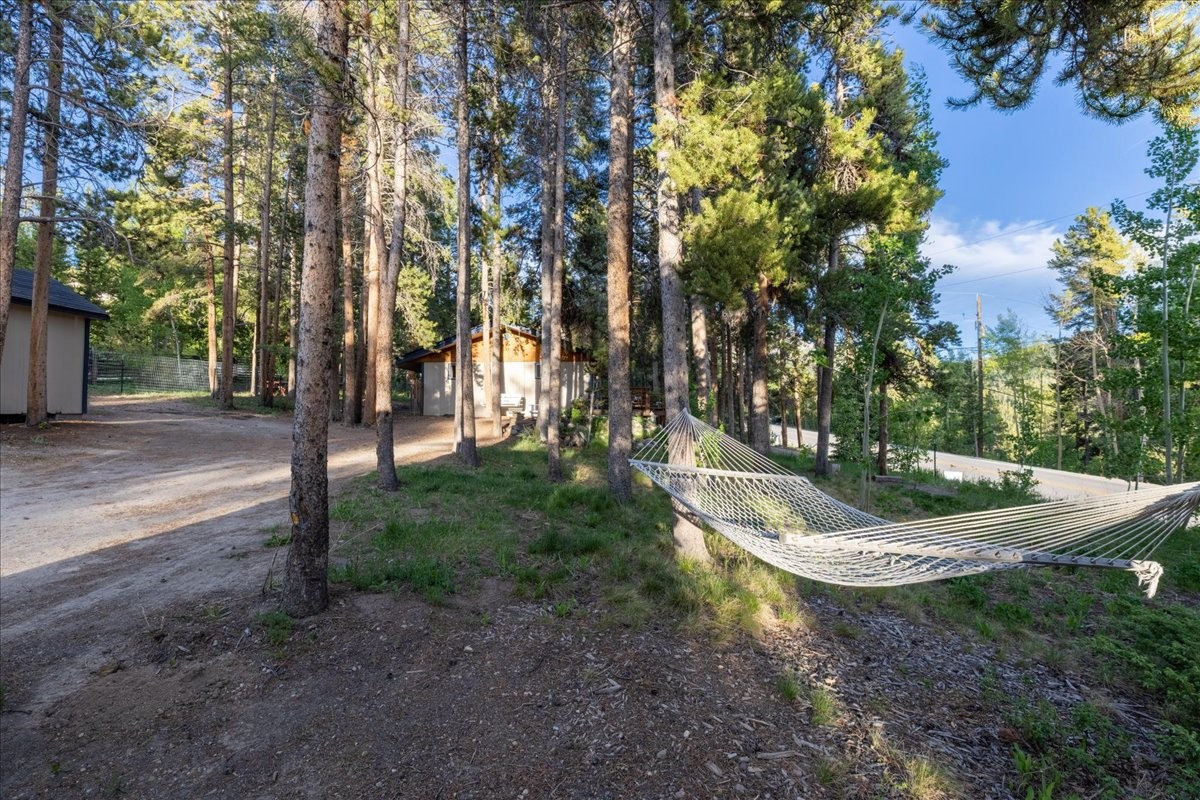 1981 Boreas Pass Road Breckenridge CO 80424