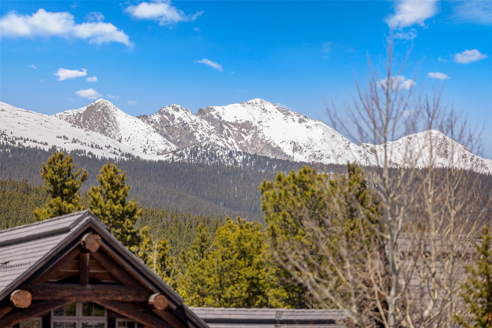 317 Timber Trail Road Breckenridge CO 80424