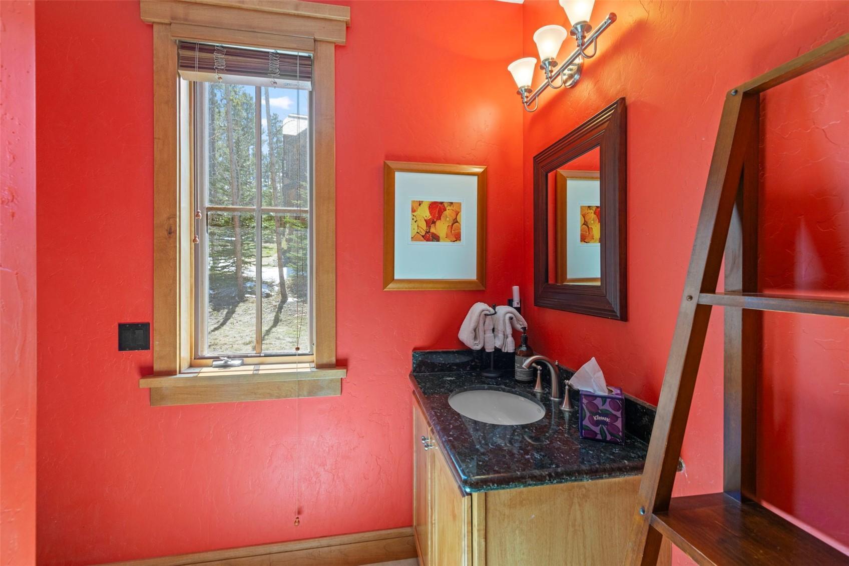 317 Timber Trail Road Breckenridge CO 80424