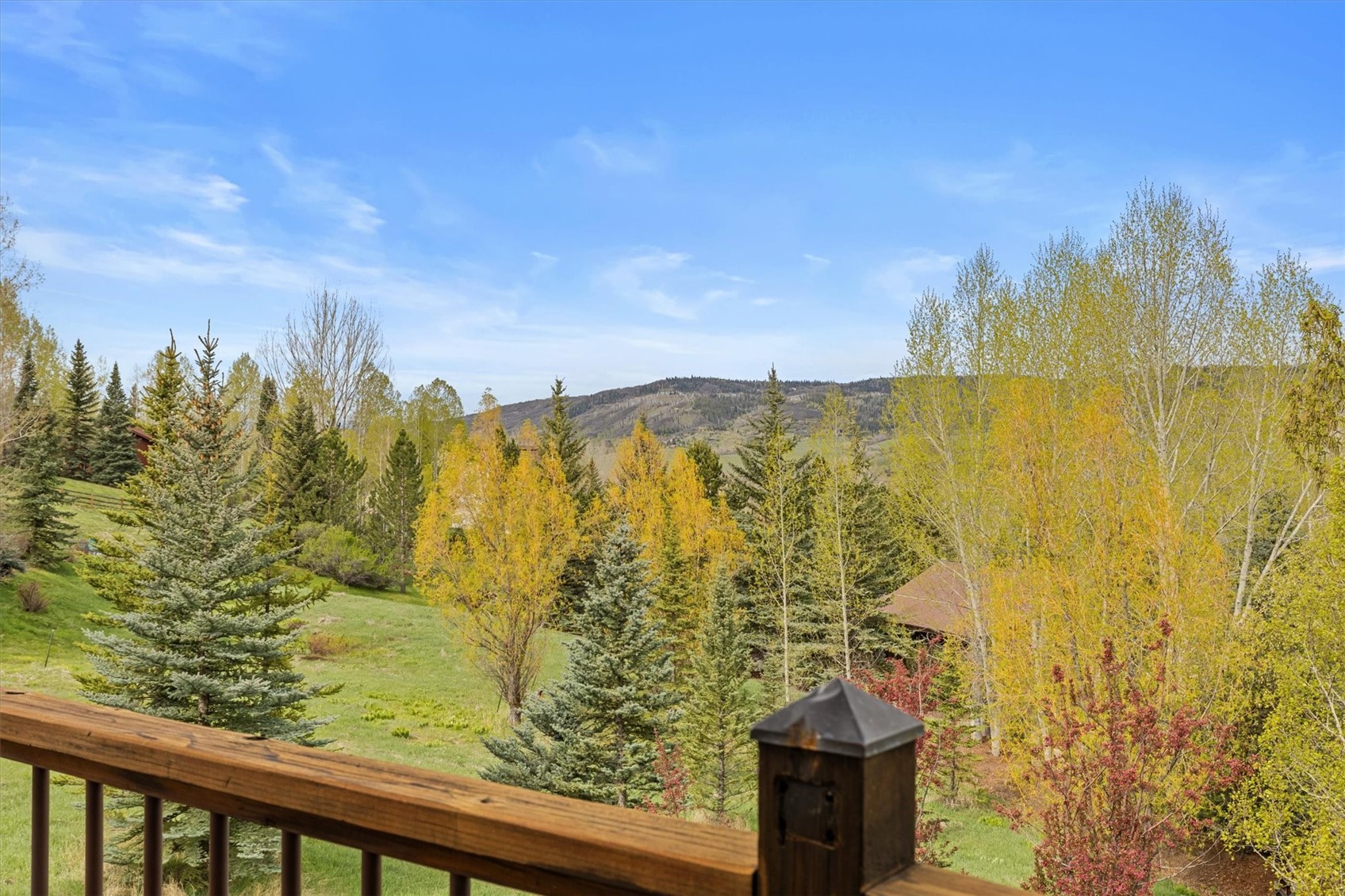 1848 Hunters Court Steamboat Springs CO 80487