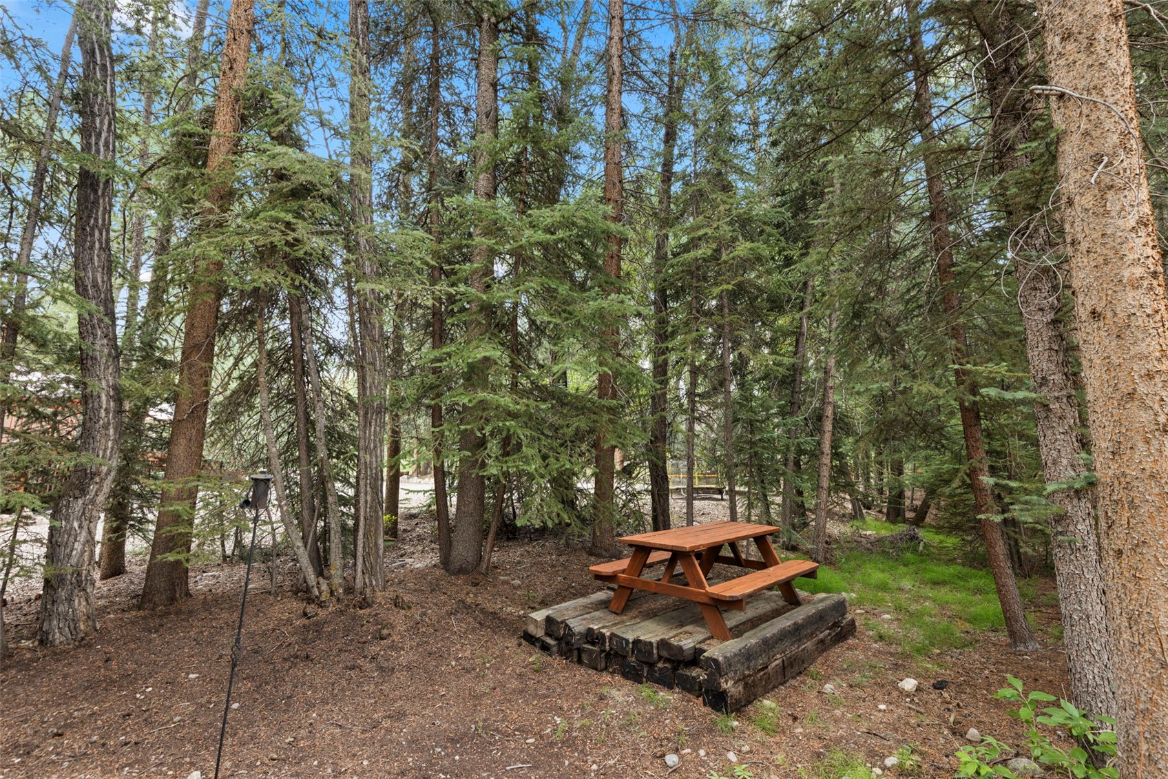43 Maverick Way Silverthorne CO 80498