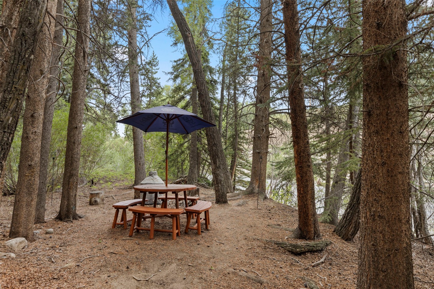 43 Maverick Way Silverthorne CO 80498