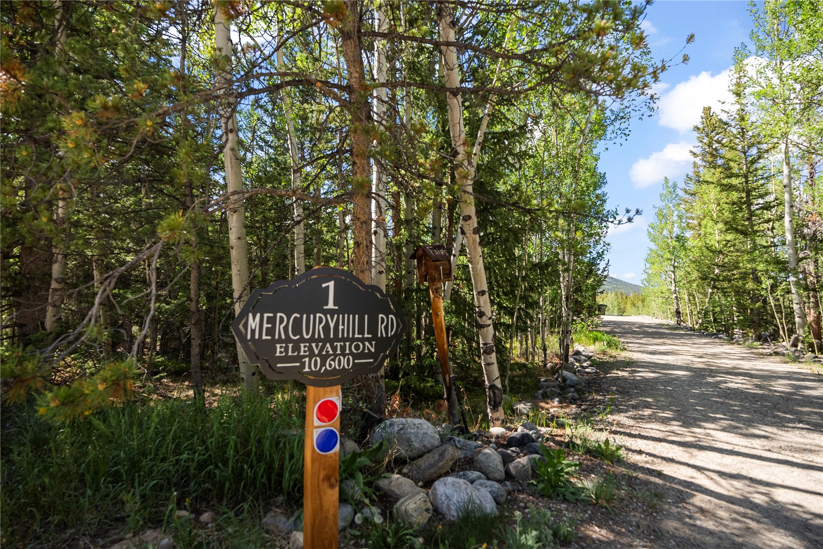 1 Mercury Hill Drive Alma CO 80420